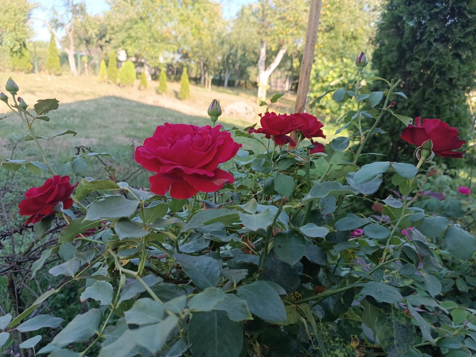 Guest House Bee Visoko Exterior foto